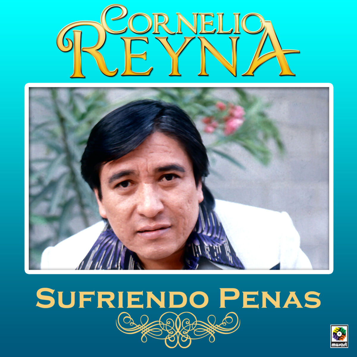 Album cover of Sufriendo Penas