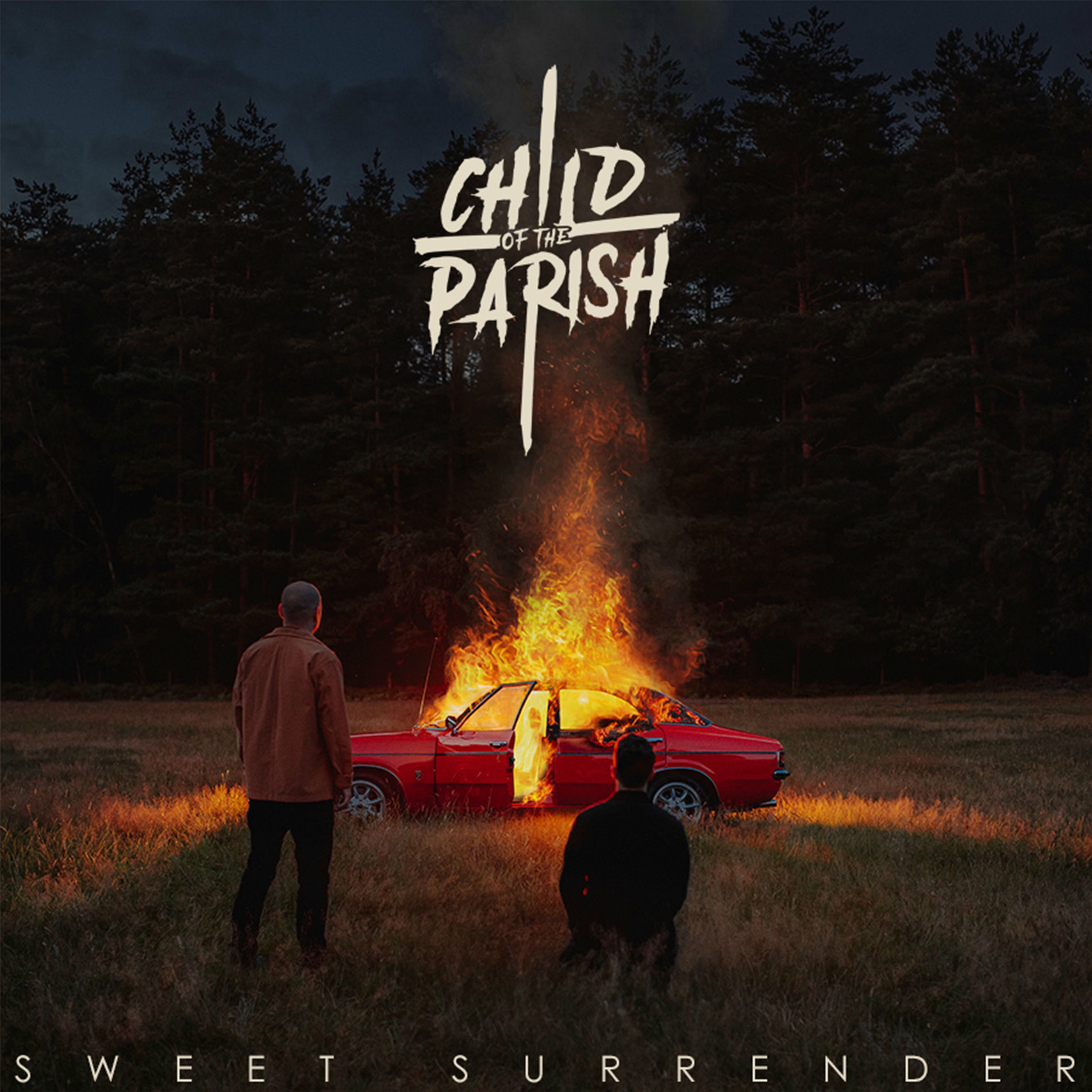 Album cover of Always the Fool