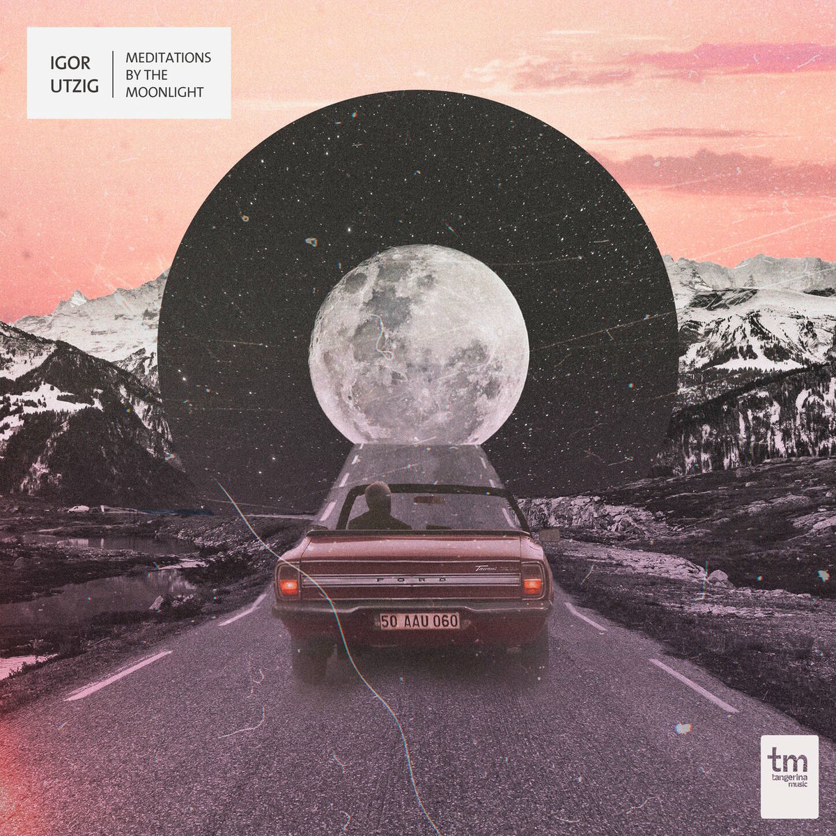 Album cover of Meditations By The Moonlight