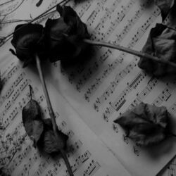 Cover of Damage