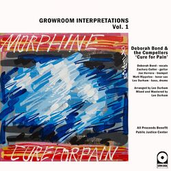 Cover of Cure for Pain