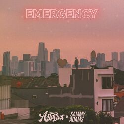 Cover of Emergency