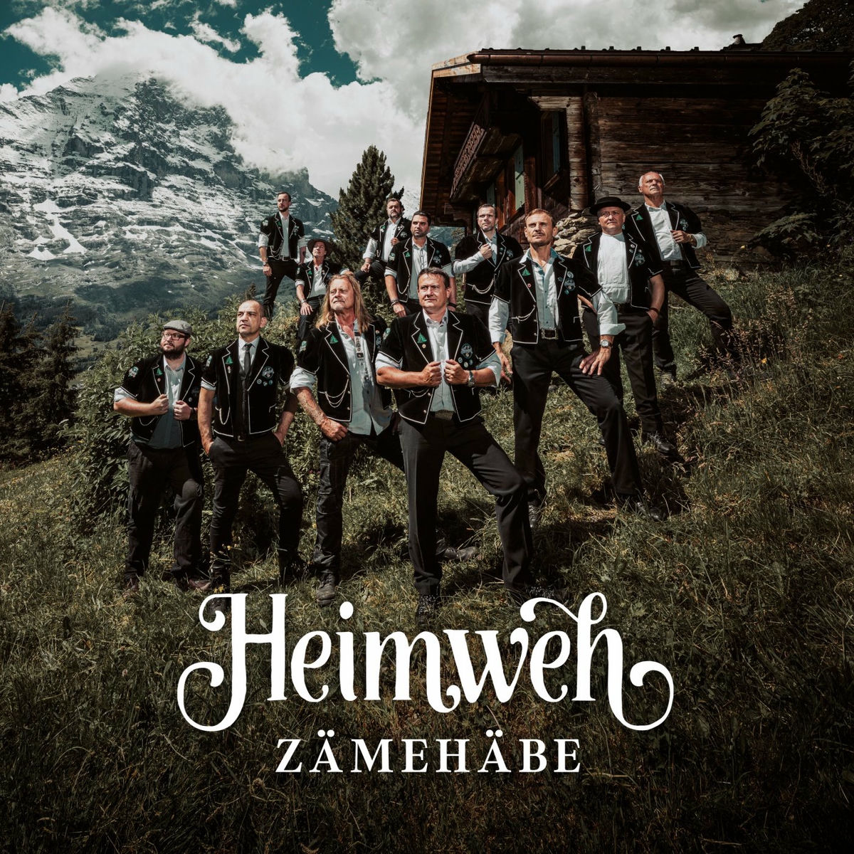Album cover of Zämehäbe