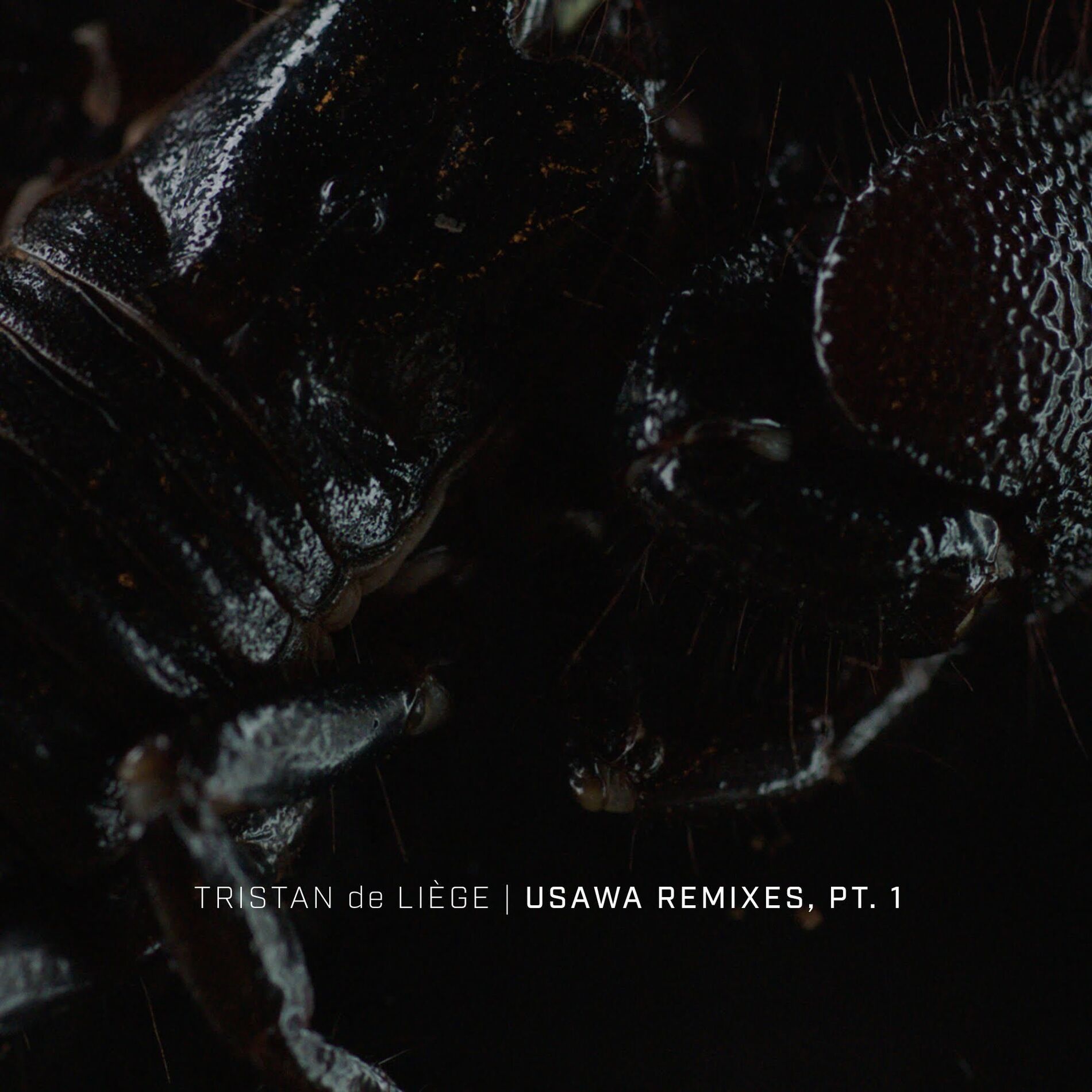 Album cover of Usawa Remixes, Pt. 1