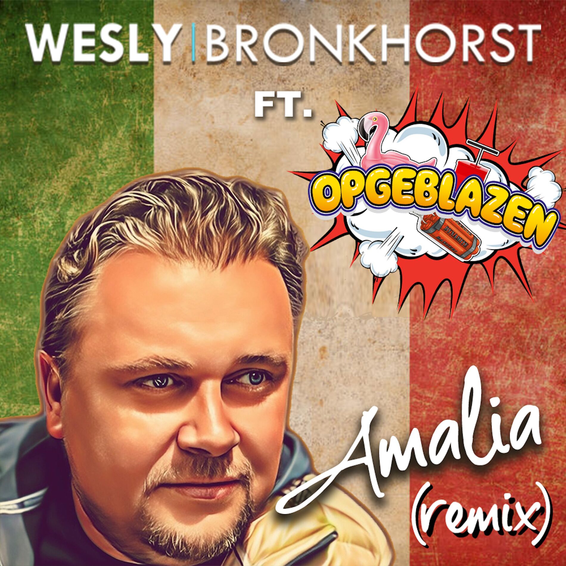 Album cover of Amalia