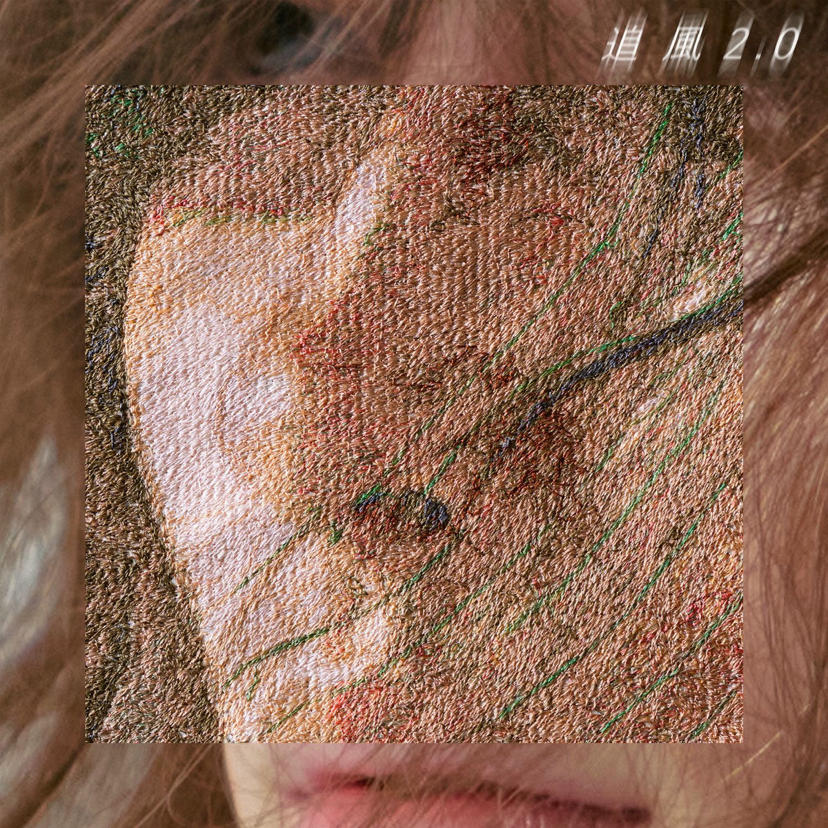 Album cover of 追風2.0