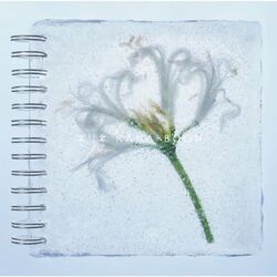 Cover of Nerine