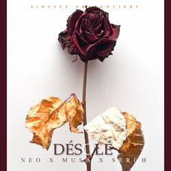 Cover of Désolé