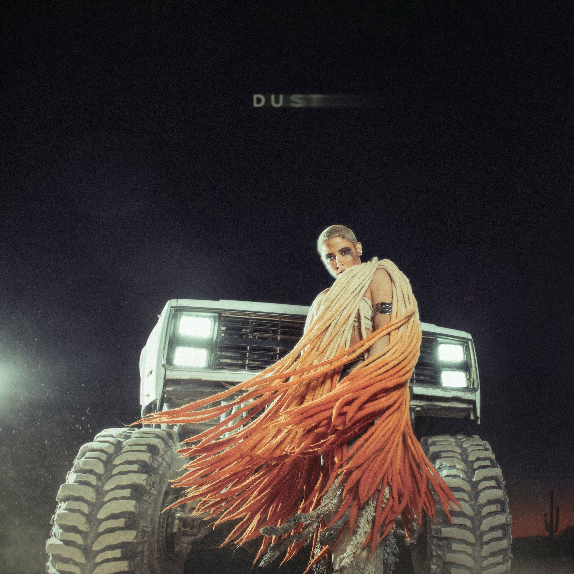 Album cover of Dust
