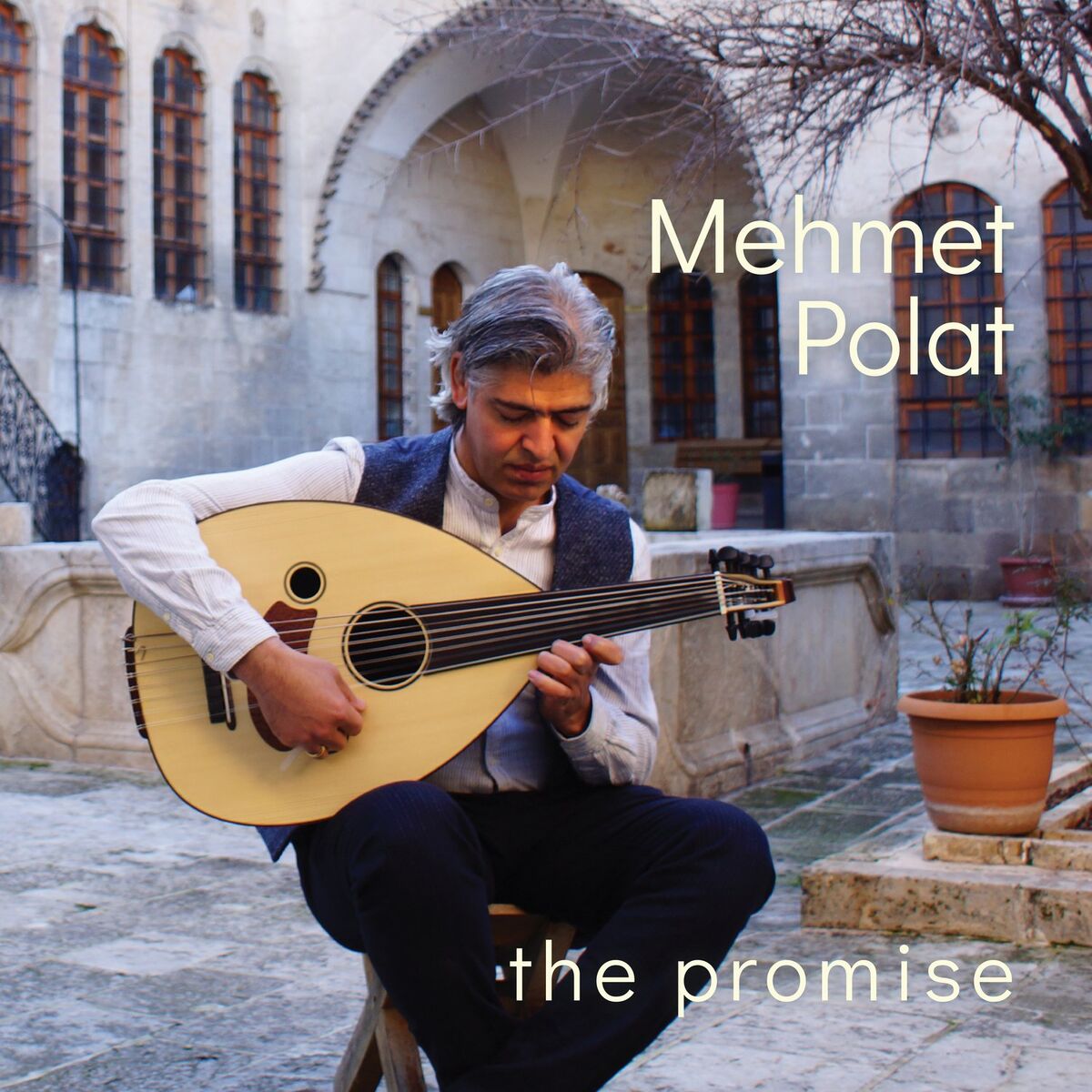 Album cover of The Promise