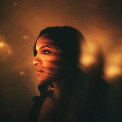 Cover of In the End
