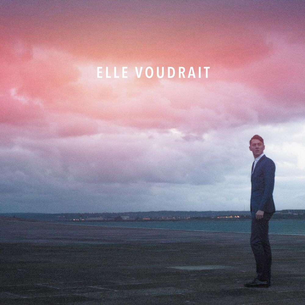 Picture of Elle voudrait (45T Version)