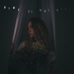 Cover of Dime Si Hay Algo