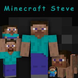 Cover of Minecarft Steve