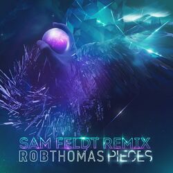 Cover of Pieces (Sam Feldt Remix)