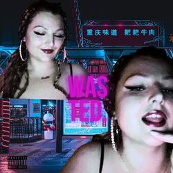 Cover of Wasted.