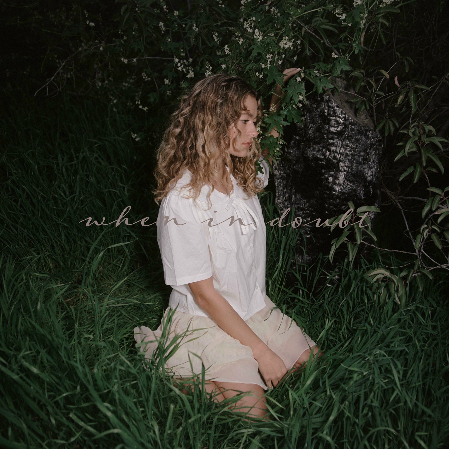 Album cover of When in doubt,