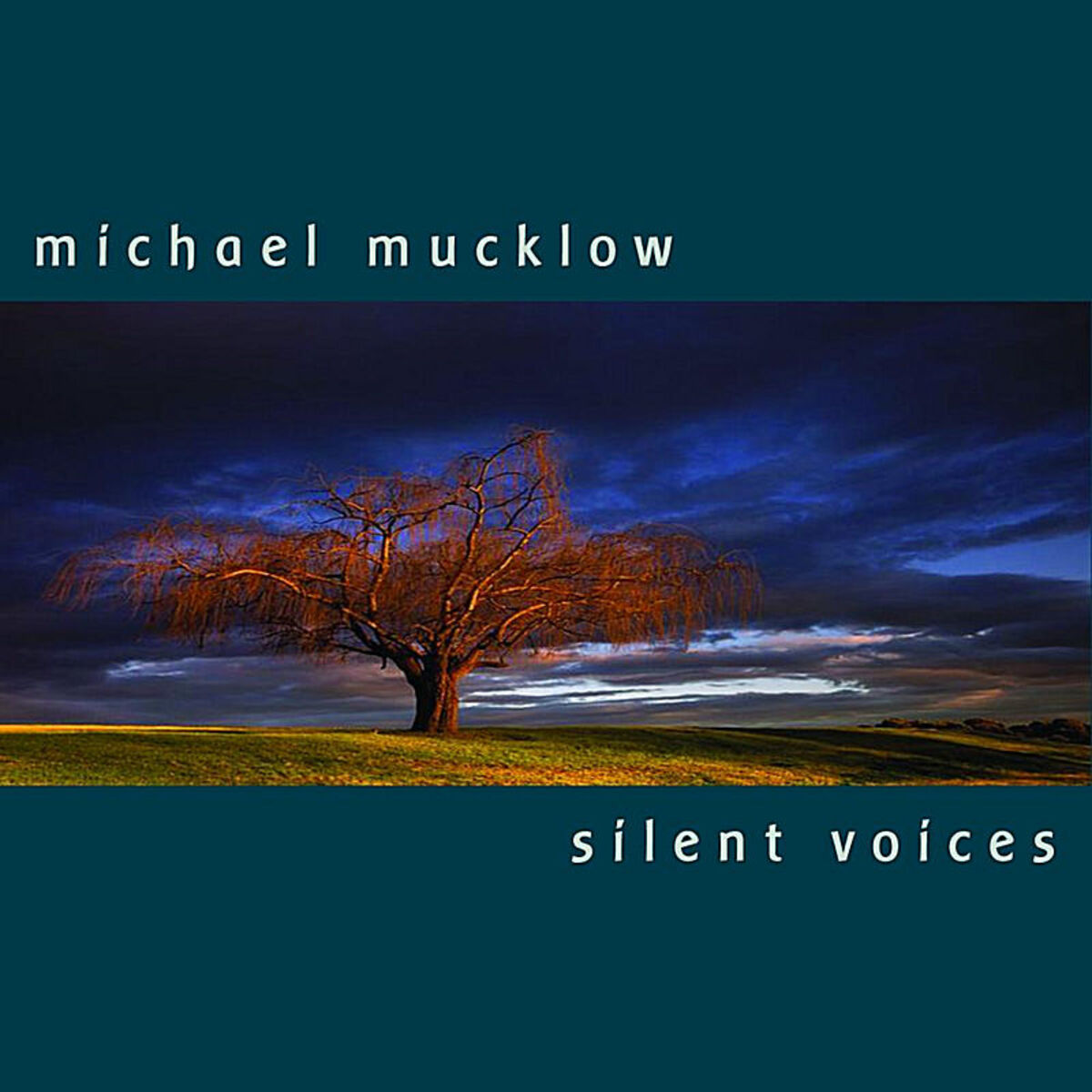Album cover of Silent Voices