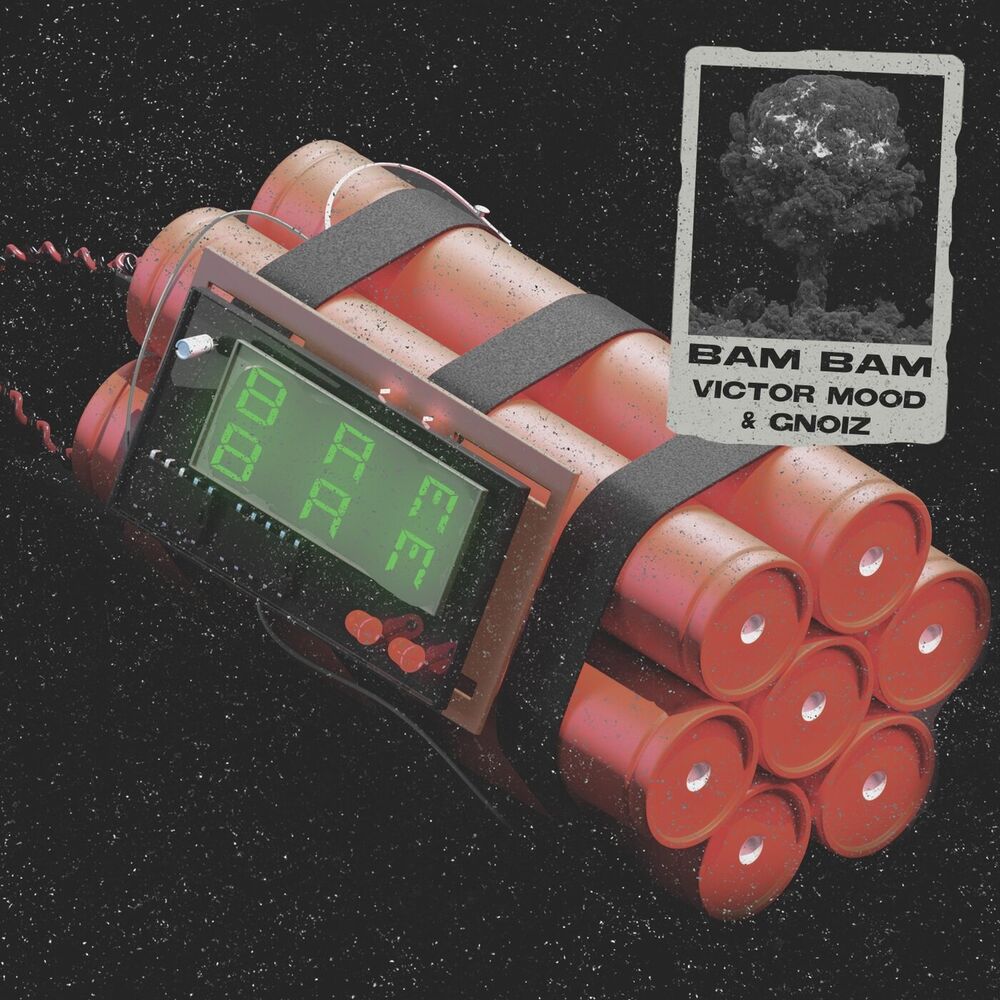 Picture of Bam Bam