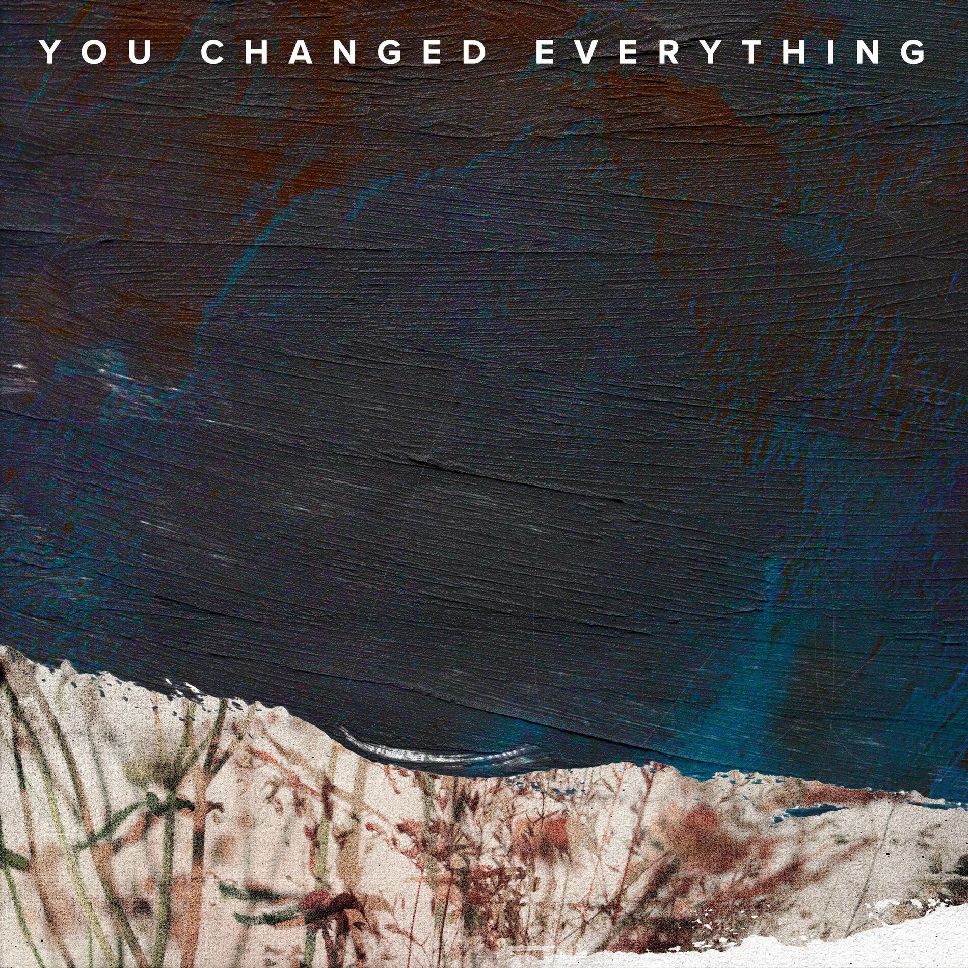 Album cover of You Changed Everything