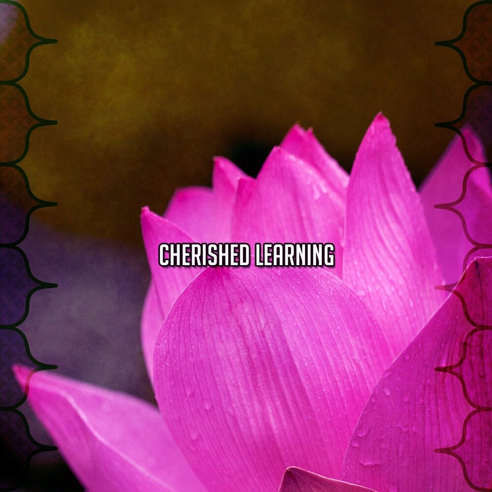 Picture of 38 Cherished Learning