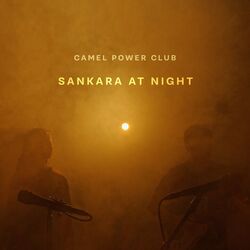 Cover of Sankara at Night