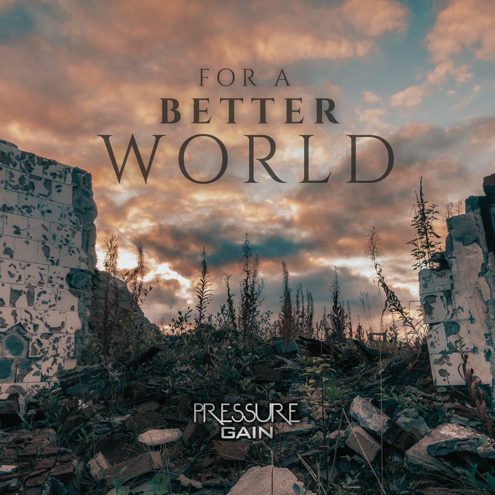 Album cover of For a Better World