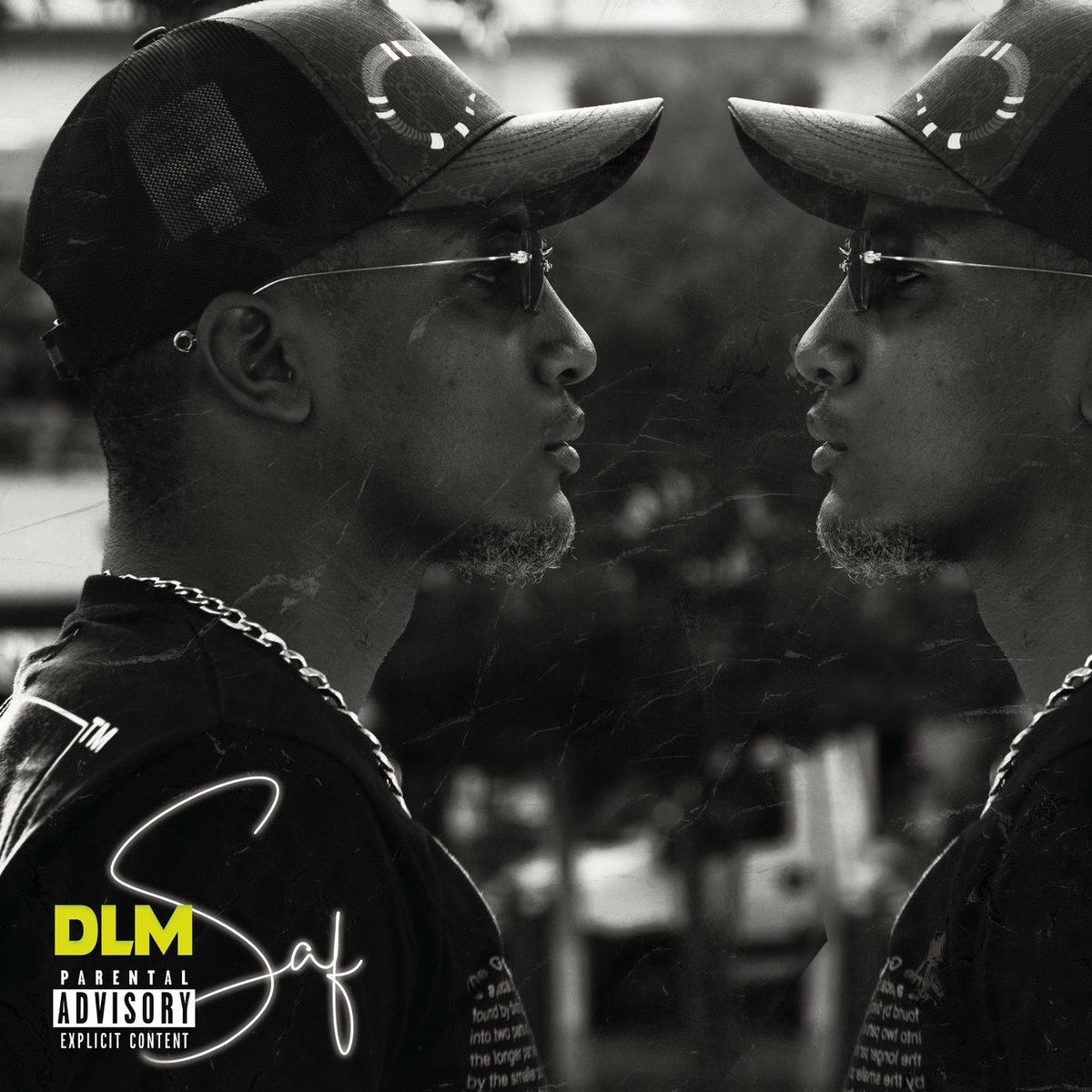 Album cover of DLM
