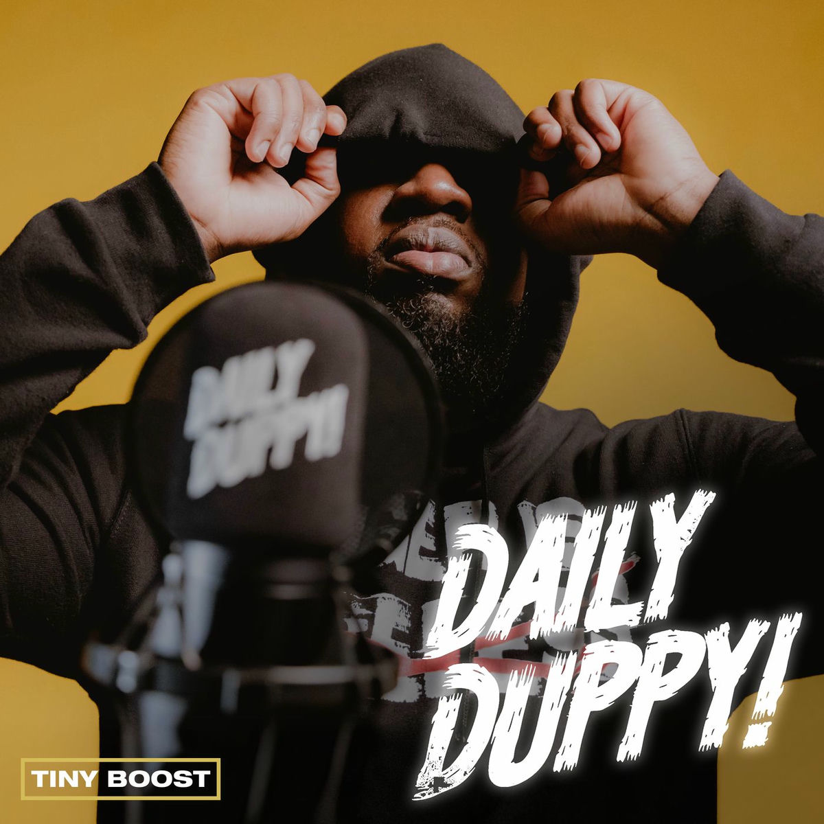 Album cover of Daily Duppy