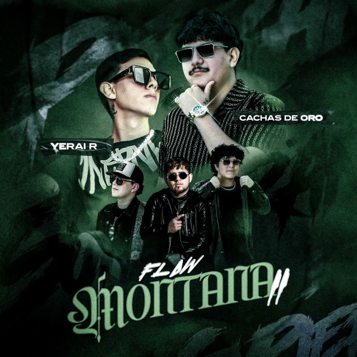 Album cover of Flow Montana II