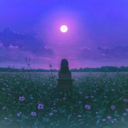 Cover of Colors of a Dream We Never Lived