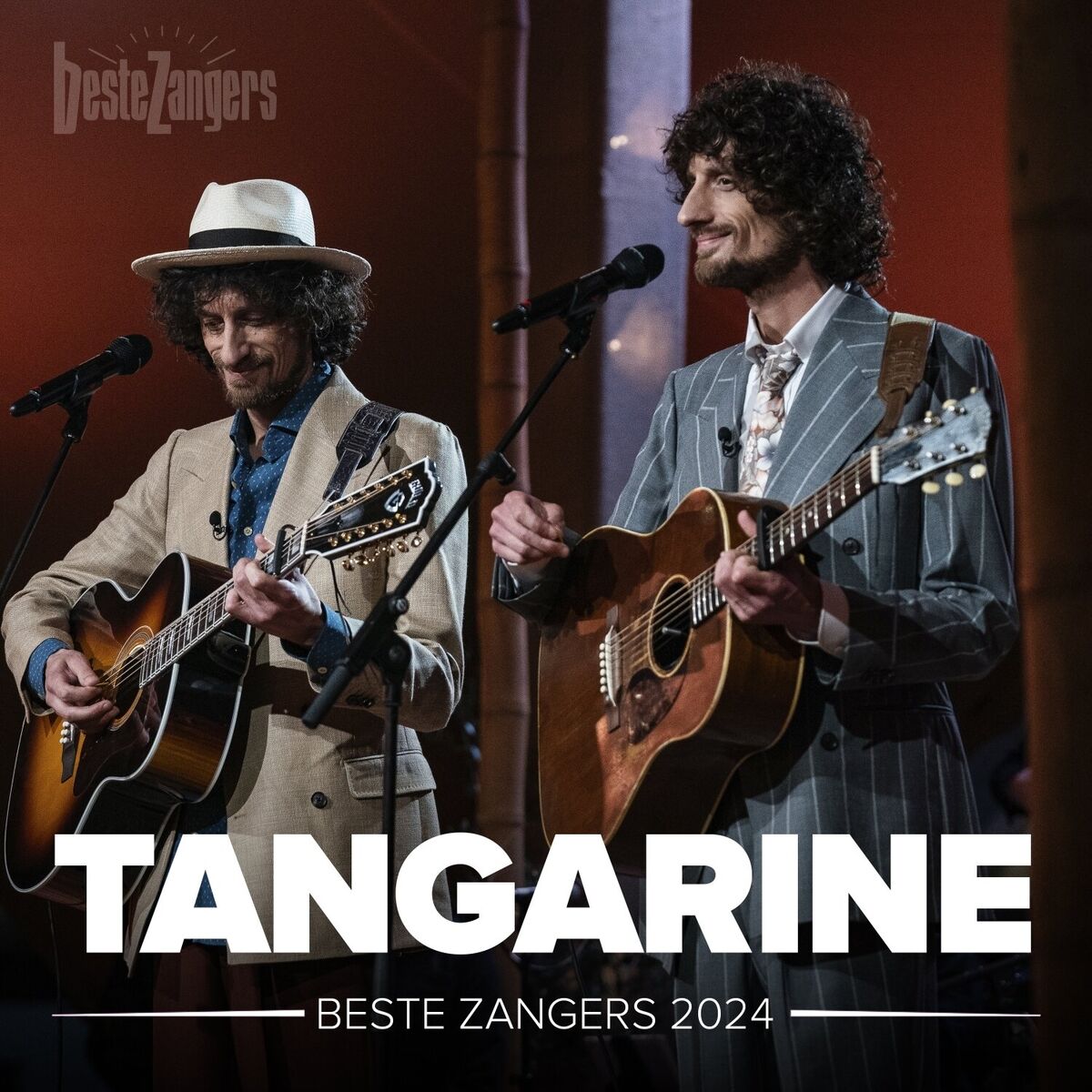 Album cover of Beste Zangers 2024 (Tangarine)