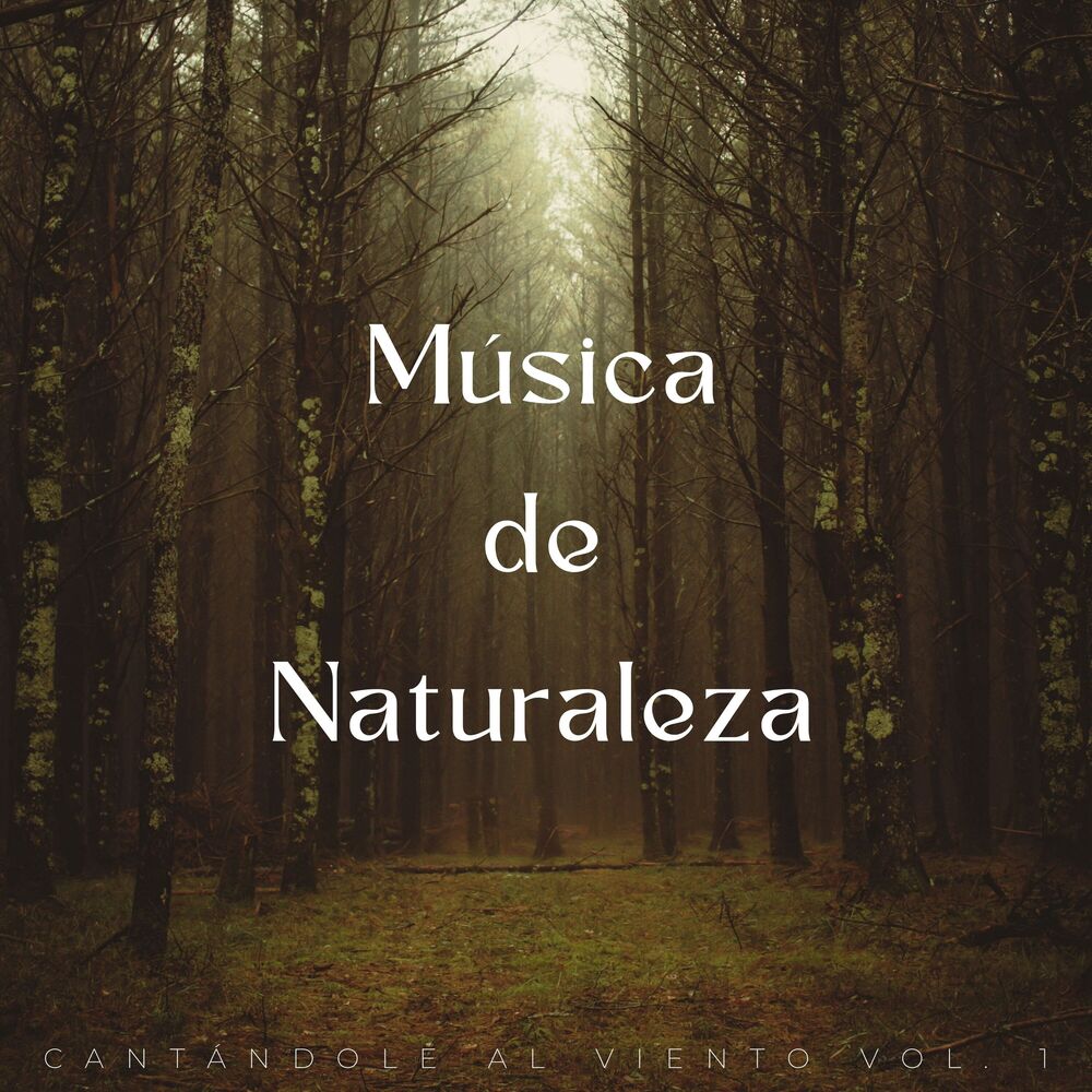 Picture of Música De Naturaleza: Cantándole Al Viento Vol. 1