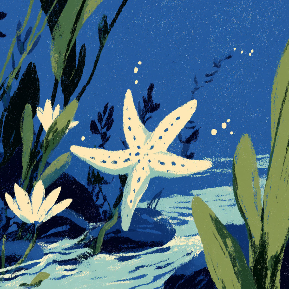 Album cover of sea ​​depth tone