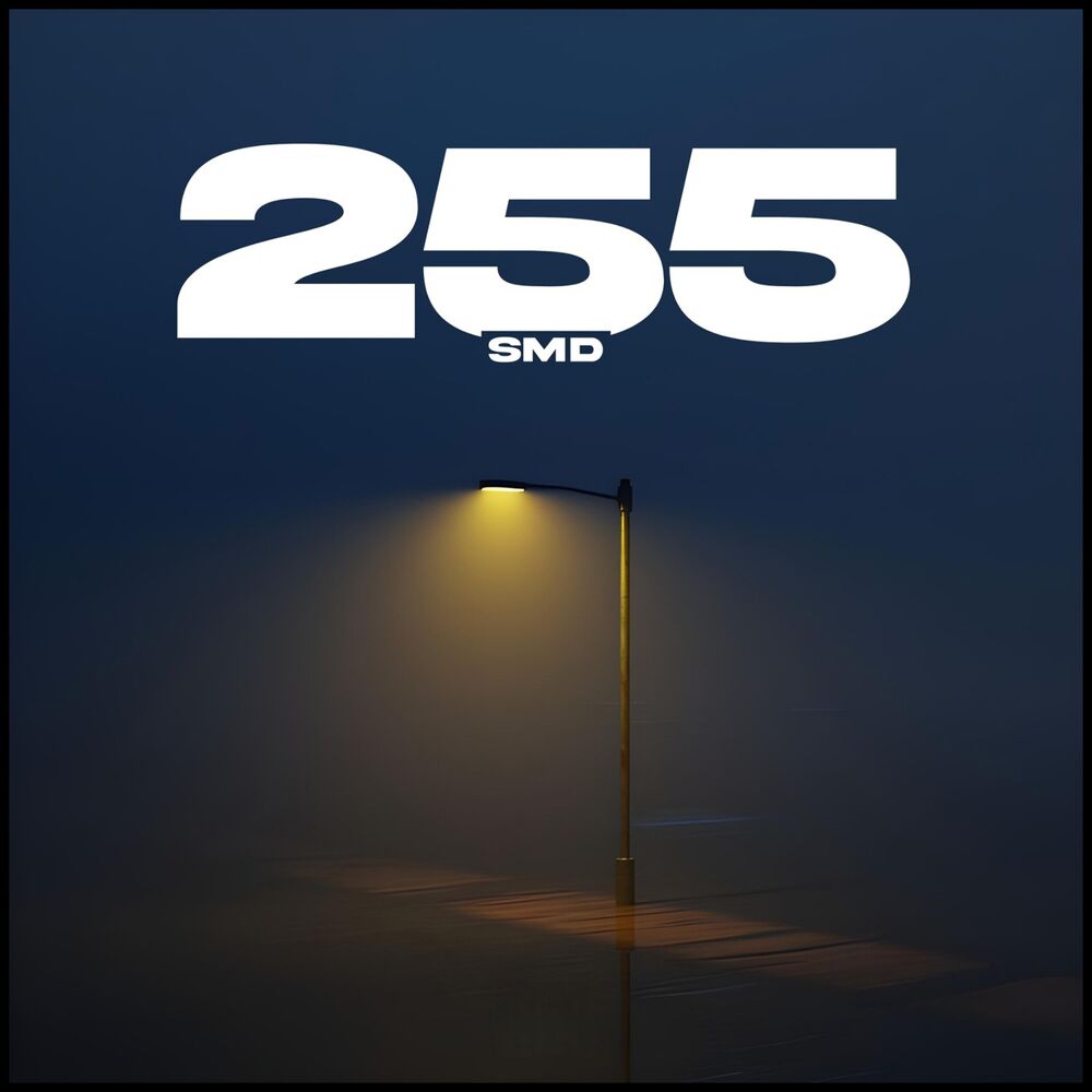 Picture of 255