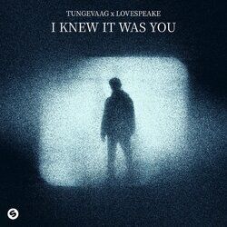 Cover of I Knew It Was You