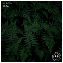Cover of Ikigai