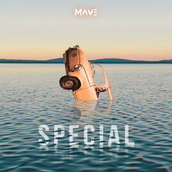 Cover of Special (Radio Edit)