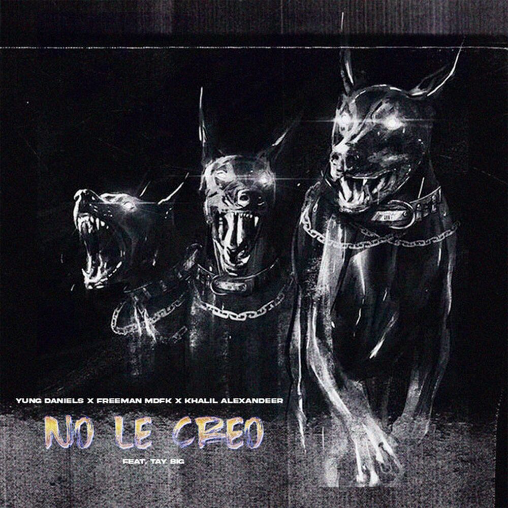 Picture of No Le Creo