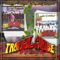 Cover of Tocando Cumbias En Masivo Grupero