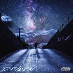 Cover of Driven