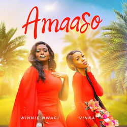 Cover of Amaaso