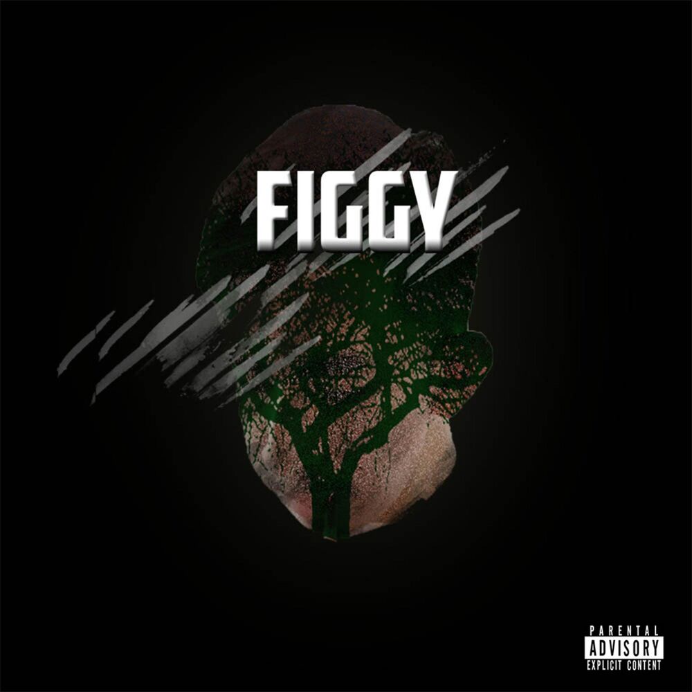 Picture of F I G G Y