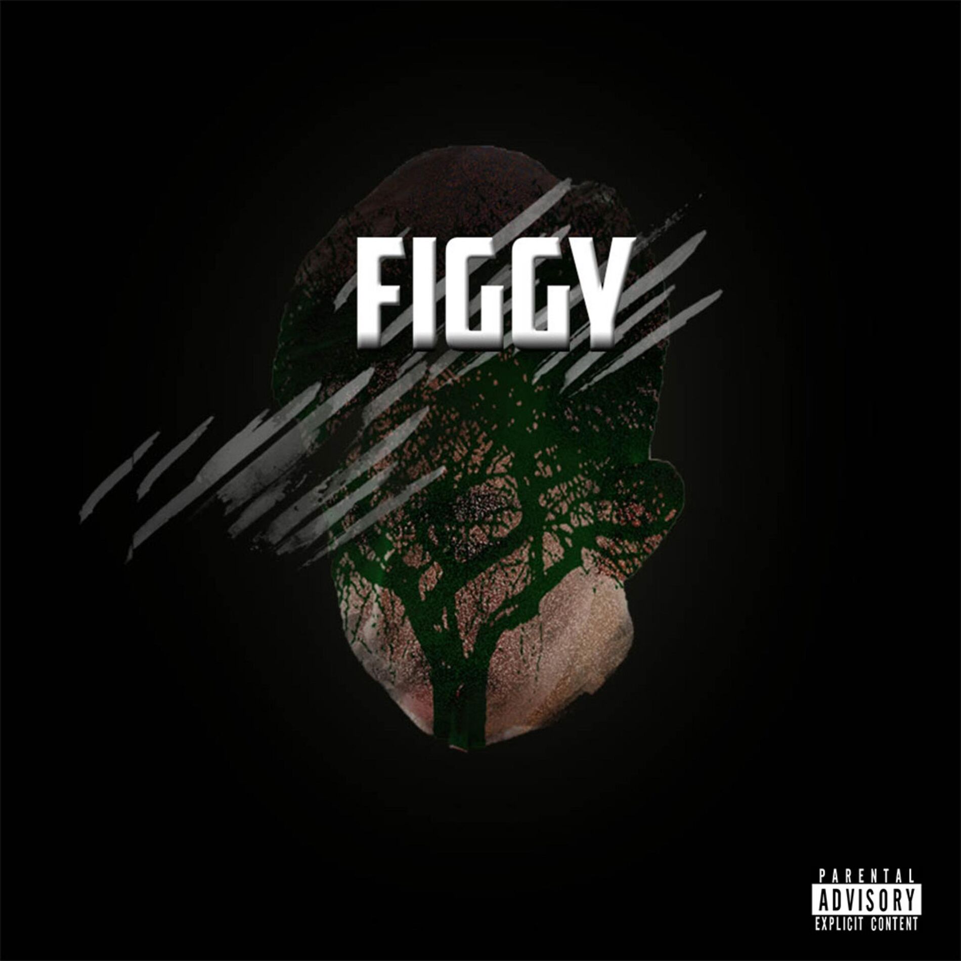 Album cover of F I G G Y