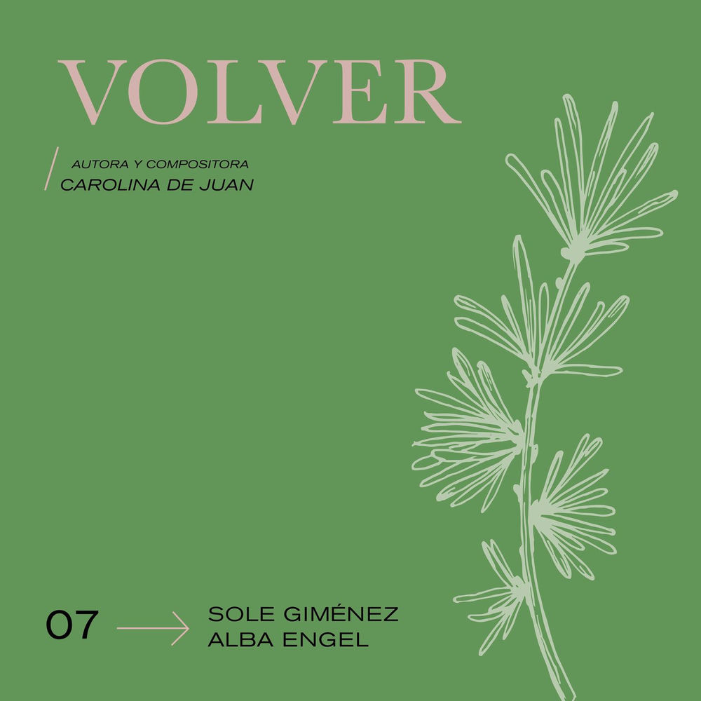 Volver cover