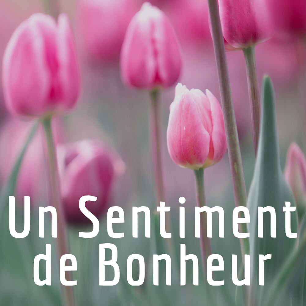 Picture of Un Sentiment de Bonheur: Musique Relaxation, Sons de la nature pour massage, Hammam, Sauna, Bien-être et de sérénité