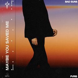 Cover of Maybe You Saved Me