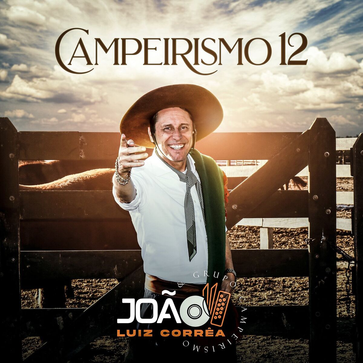 Album cover of Campeirismo, Vol 12