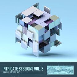 Cover of Intricate Sessions, Vol. 03, Unmixed