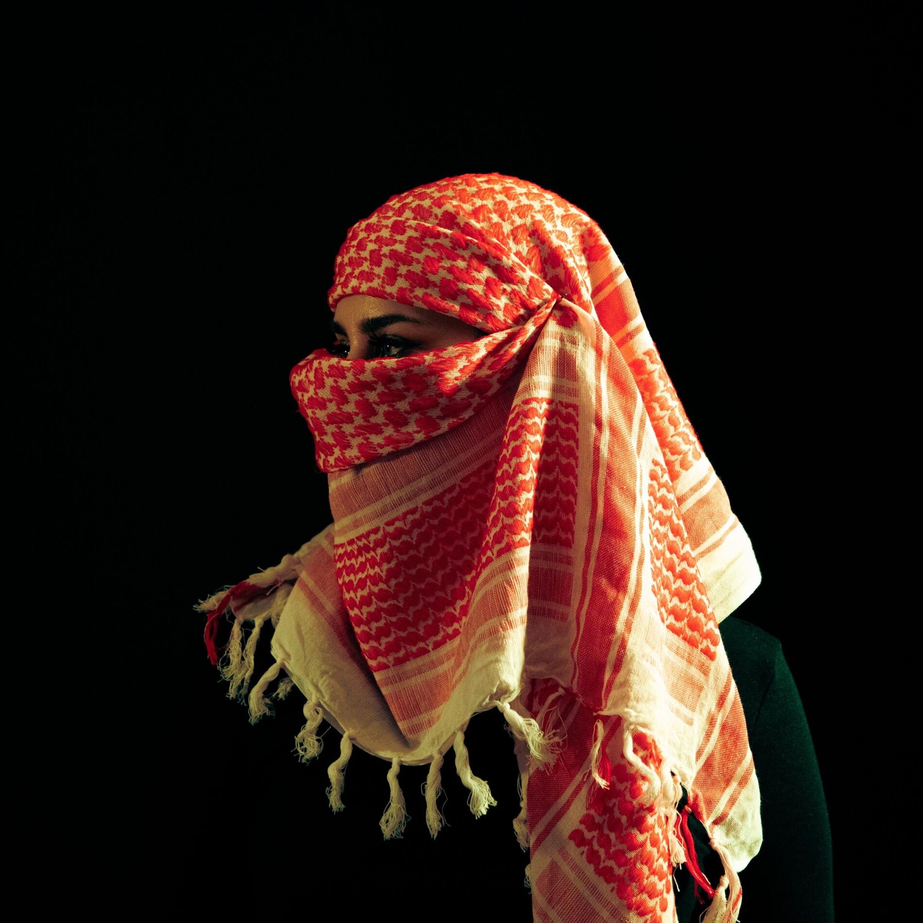 Album cover of The Arabian Sun